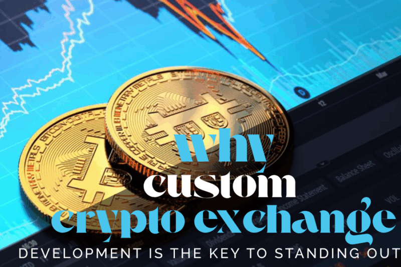 Why Custom Crypto Exchange Development Is the Key to Standing Out?
