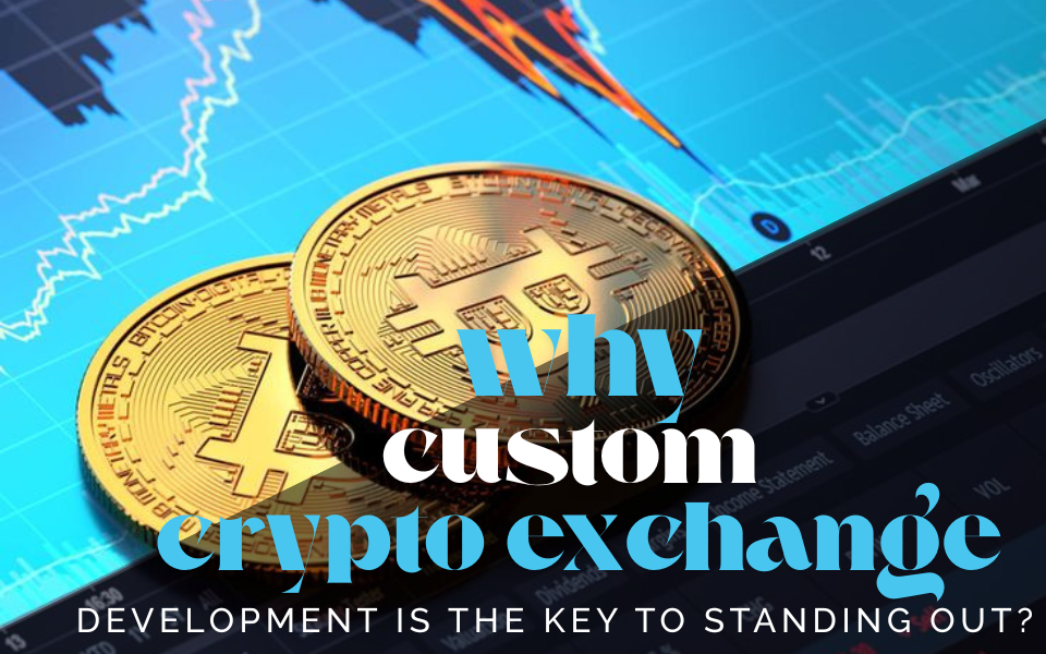 Why Custom Crypto Exchange Development Is the Key to Standing Out?