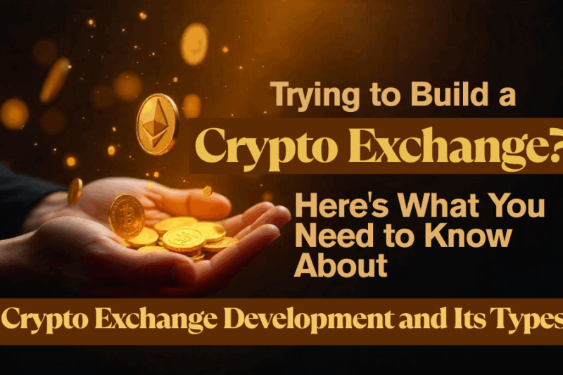 Trying to Build a Crypto Exchange? Here’s What You Need to Know About Crypto Exchange Development and Its Types