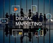 Master Digital Marketing: From Basics to Pro!